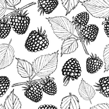 ahududu dikişsiz model vintage biçim illüstrasyonuName