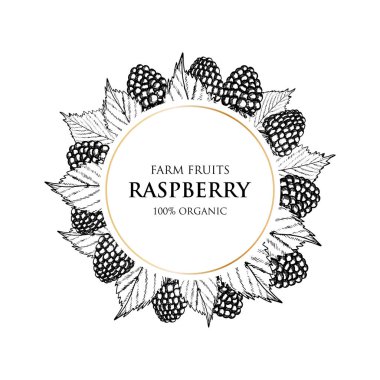 Ahududulu klasik etiket. Vektör çizimi. Meyve ve Sebze Toplama.