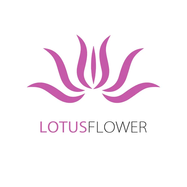 Vektör güzellik iş tasarım şablonu - pembe elle çizilmiş lotus — Stok Vektör