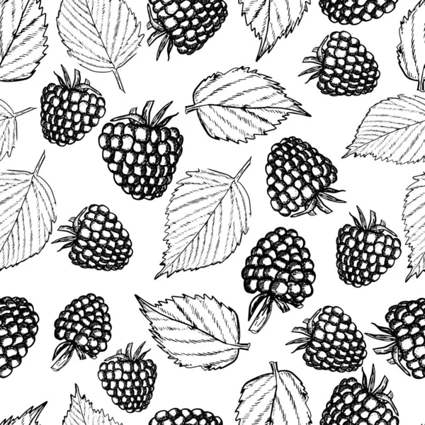 Raspberry seamless pattern vintage style vector illustration — Stock Vector