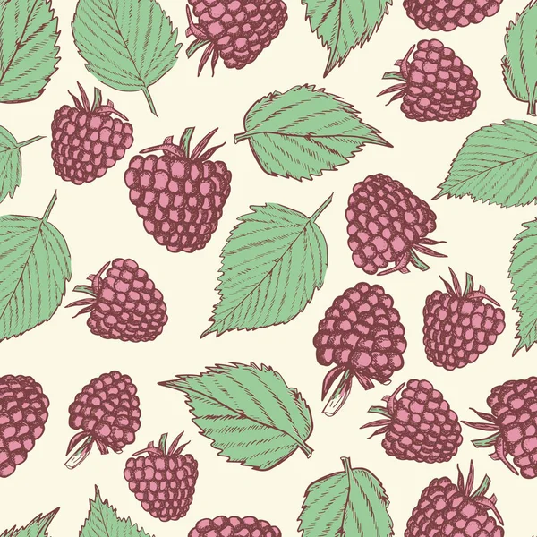 Raspberry seamless pattern vintage style vector illustration — Stock Vector