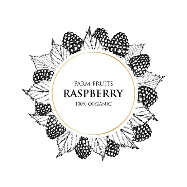 Vintage label with raspberry. Vector illustration. Fruit and Vegetables Collection. — Stock Vector