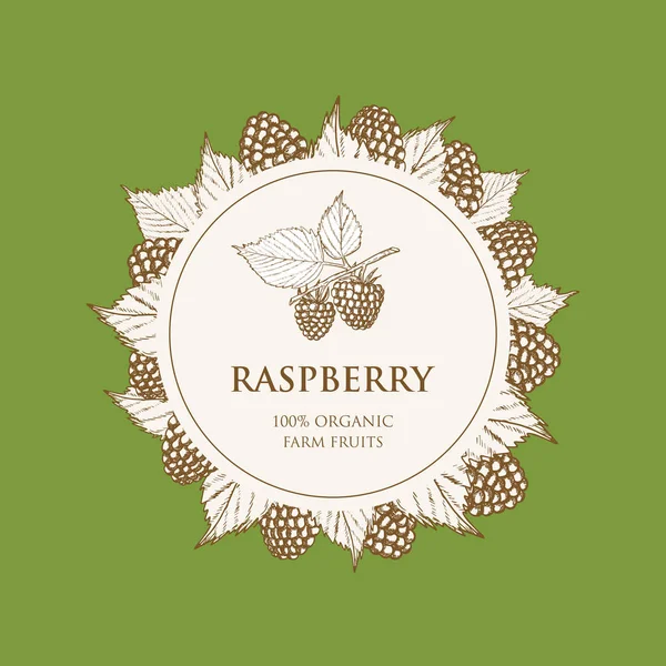 Vintage label with raspberry. Vector illustration. Fruit and Vegetables Collection. — Stock Vector