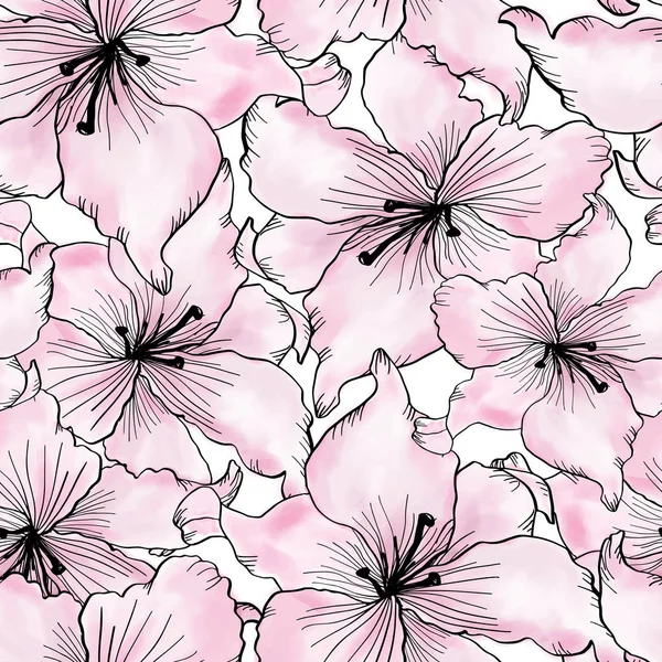 Sömlös mönster med färgglada liljor blomma på vit bakgrund. — Stock vektor