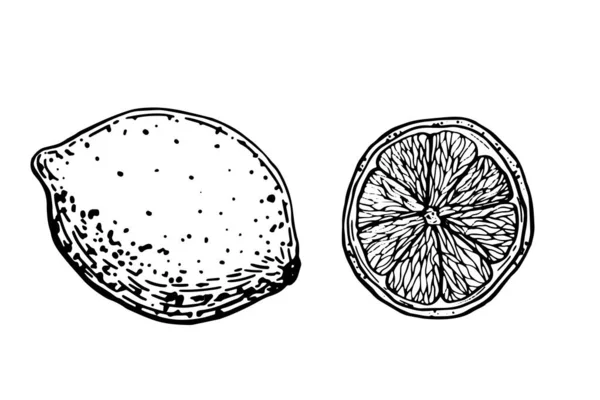Ilustración vectorial dibujada a mano - Limones . — Archivo Imágenes Vectoriales