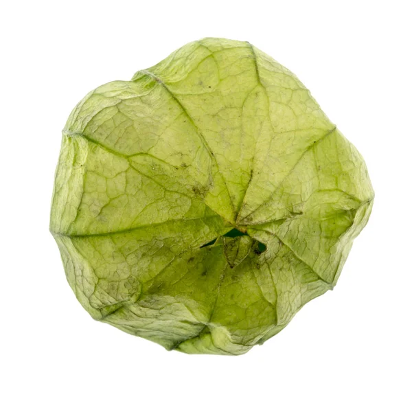 Tomatillo Mexican Husk Tomato Physalis Philadelphica Wrapped Paper Husk — Stock Photo, Image