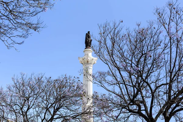 Coluna Pedro Monumento Rei Pedro Portugal Erigido 1870 Centro Praça — Fotografia de Stock