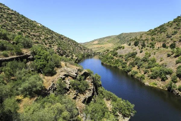 Veduta Del Fiume Coa Affluente Del Bacino Idrografico Del Douro — Foto Stock