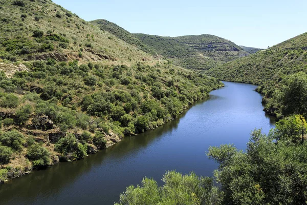 Veduta Del Fiume Coa Affluente Del Bacino Idrografico Del Douro — Foto Stock