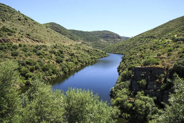 Vista Del Río Coa Afluente Perteneciente Cuenca Del Duero Portugal —  Fotos de Stock