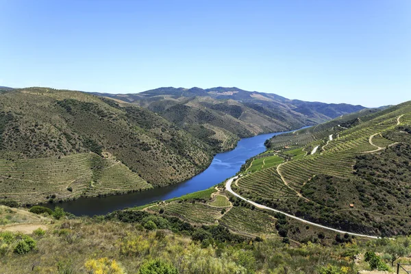 Valle del Douro fiumiciattolo e vigneti — Foto Stock