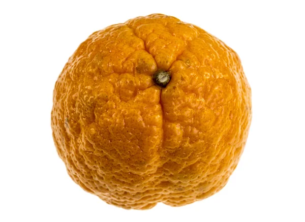 Gold Nugget Mandarin Variety Medium Size Oblate Form Bumpy Orange — Stock Photo, Image