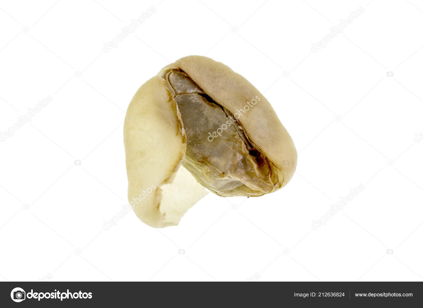 Removing Parchment Drying Coffee Beans Prior Roasting Stock Photo by