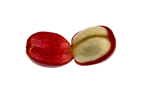 皮と果肉 画像の赤で撰外側部と内側のセクションと新鮮なコーヒー チェリー フルーツの解剖学や 粘液で覆われている つの隣接する半分の種子のビュー — ストック写真