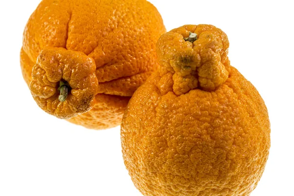 Sumo Citrus Also Called Dekopon Seedless Sweet Mandarin Variety Distinctive — Stock Photo, Image