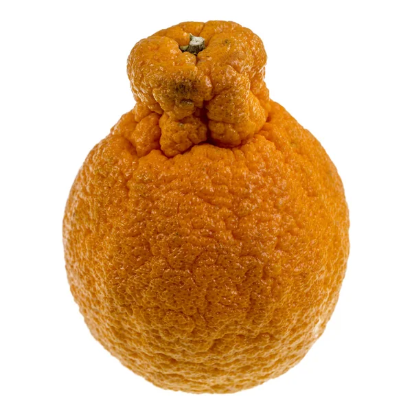 Sumo Citrusy Nazývané Také Dekopon Bez Pecek Sladké Mandarinky Odrůda — Stock fotografie