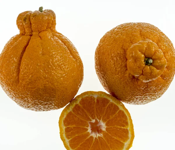 相扑柑橘 Dekopon 是一种无核 甜的国语品种 因其体积大 顶部凸起突出而与众不同 — 图库照片