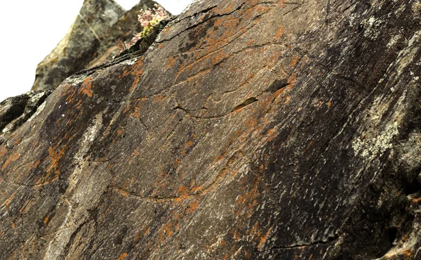 Förhistoriska Klippkonst Webbplatsen Äkthetsbeviset Valley Öppen Luft Övre Paleolitiska Arkeologisk — Stockfoto