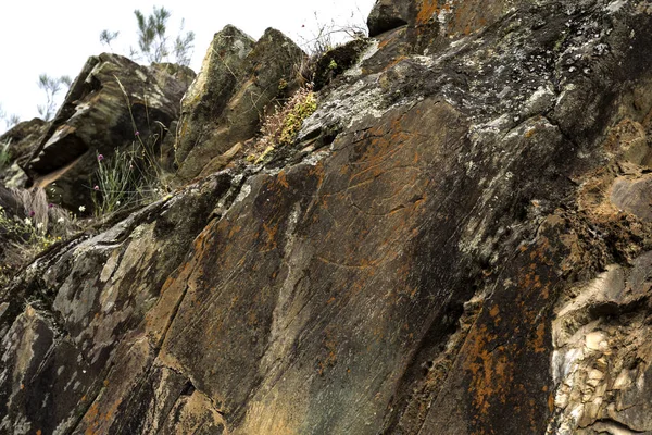 Förhistoriska Klippkonst Webbplatsen Äkthetsbeviset Valley Öppen Luft Övre Paleolitiska Arkeologisk — Stockfoto