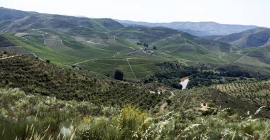 Coa Nehri Vadisi Kuzey Portekiz görünümünü geniş panoranic