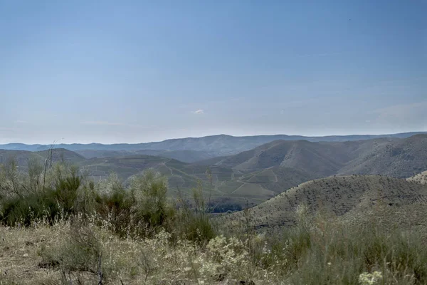 Ruime Panoramische Uitzicht Vallei Van Rivier Van Het Coa Noord — Stockfoto