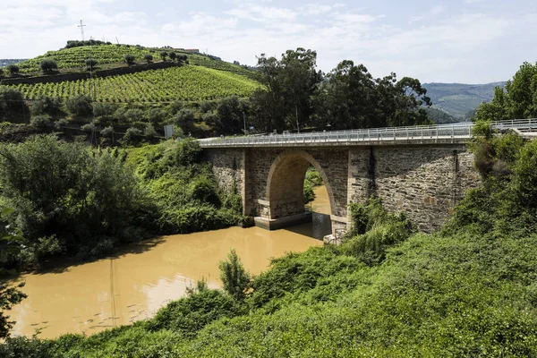 Utazási Mentén Egy Szűk Völgyben Ijesztő Road Egy Érkezik Híd — Stock Fotó