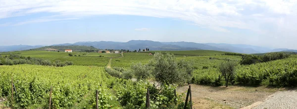 Spectacular Panoramic View Vineyards Douro Wine Region Portugal Famous Its — Stock Photo, Image