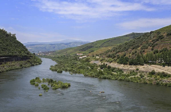 Superb Panorama Looking Downstream Douro River Regua Dam Also Called — Stock Photo, Image