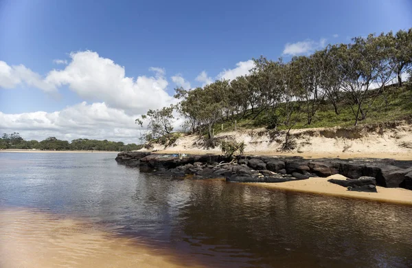 Sunshine Coast Avustralya Bir Koyu Kahverengi Renk Koyu Kahverengi Dikiş — Stok fotoğraf