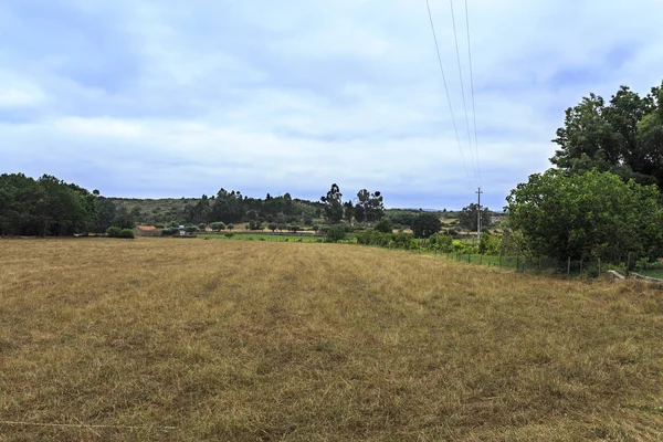 Vue Panoramique Une Terre Agricole Dans Pays Rural Nord Portugal — Photo