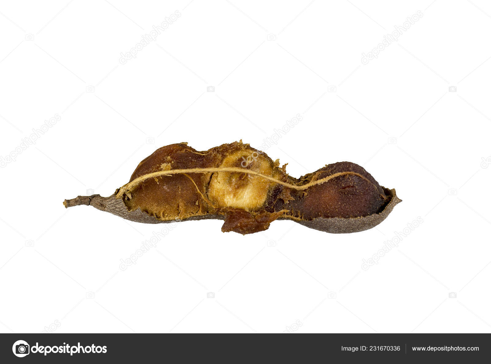 View Pulp Seeds Fibers Broken Tamarind Tamarindus Indica Pod Fruit Stock Photo Image By C Ribeiroantonio