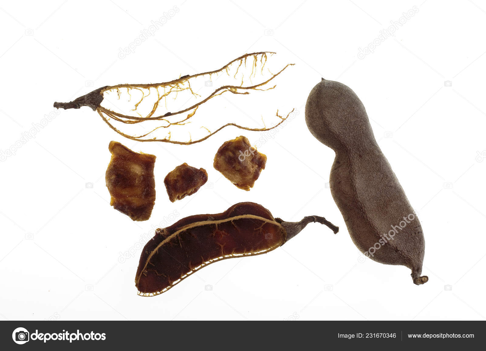 View Whole Tamarind Fruit Pulp Seeds Fibers Broken Tamarind Tamarindus Stock Photo Image By C Ribeiroantonio