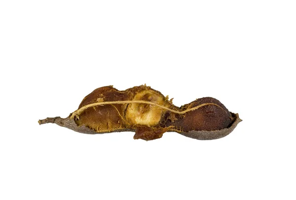 View Pulp Seeds Fibers Broken Tamarind Tamarindus Indica Pod Fruit — Stock Photo, Image