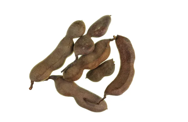 Плоды Tamarind Tamarindus Indica Похожие Стручки Растут Дереве Tamarind Tamarindus — стоковое фото