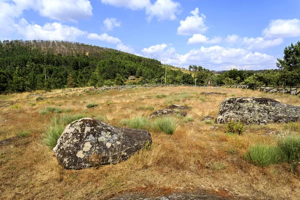 Vue Panoramique Nécropole Haut Moyen Âge Forcadas Avec Vingt Sépultures — Photo