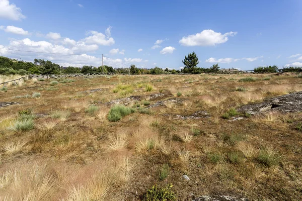 Forcadas Erken Ortaçağ Nekropolü Nün Panoramik Görüntüsü Fornos Algodres Beira — Stok fotoğraf