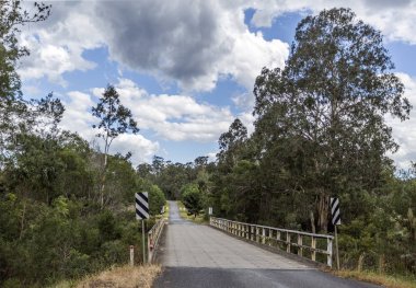 New England High Country Ormanı