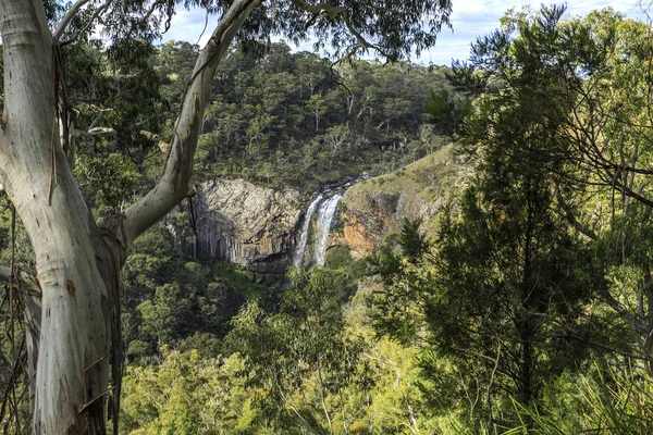 Nouvelle-Angleterre High Country Ebor Falls — Photo