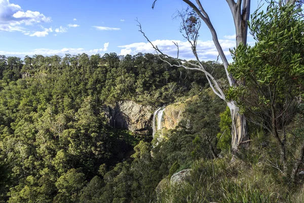 Nouvelle-Angleterre High Country Ebor Falls — Photo