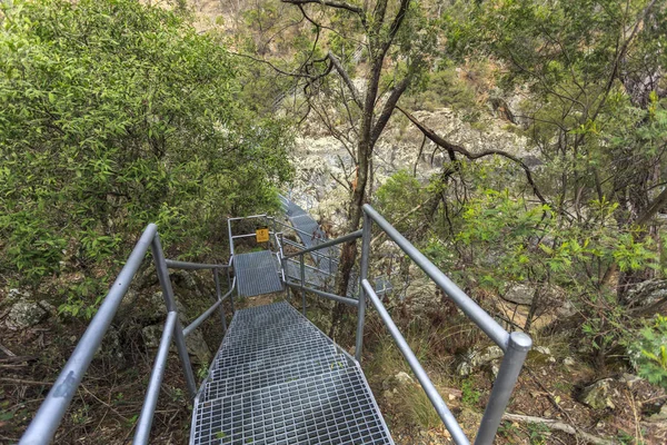 Nationaal park van New England - Wollombi-kloof — Stockfoto