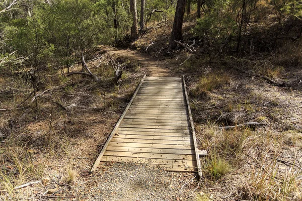 Parque Nacional de Nueva Inglaterra jalá Walking Track —  Fotos de Stock