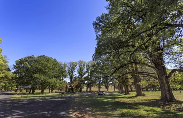 Gostwyck Blick auf Ulmen und Kapelle — Stockfoto