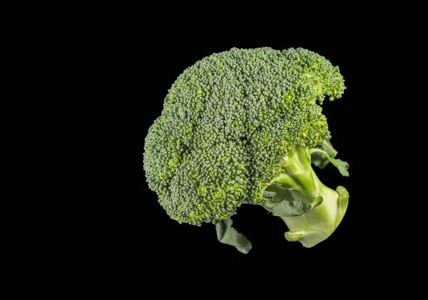 Broccoli florets snědli jako zelenina — Stock fotografie