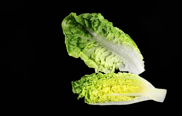 Салат з Кос або салат Ромен — стокове фото