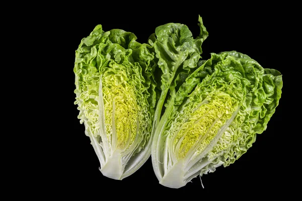 Cos saláta vagy Romaine saláta — Stock Fotó