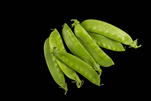 Snow pea in de pod — Stockfoto