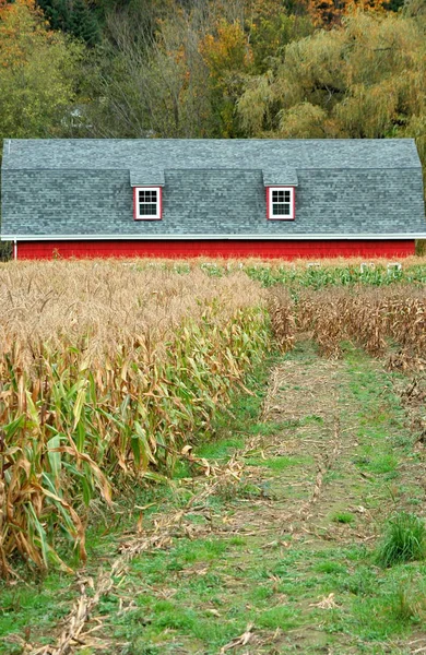 Casa Armazenamento Terras Agrícolas Natureza Livre — Fotografia de Stock