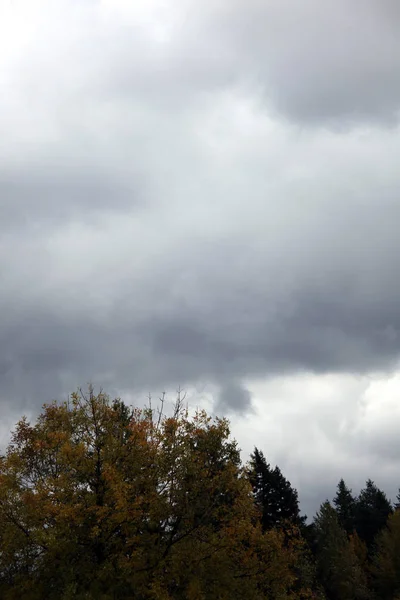 Dark Storm Molnbildning Högt Himlen Ovanför Träden — Stockfoto