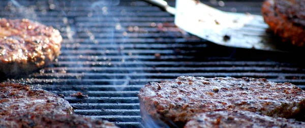 Hamburger Izgara Bir Park Açık Havada — Stok fotoğraf