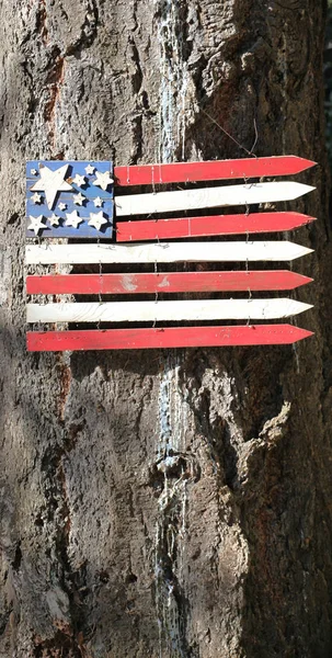 Drapeau Américain Bois Affiché Sur Arbre Extérieur Photos De Stock Libres De Droits